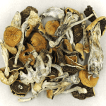 Full Moon Party | Shrooms Edibles Online Canada