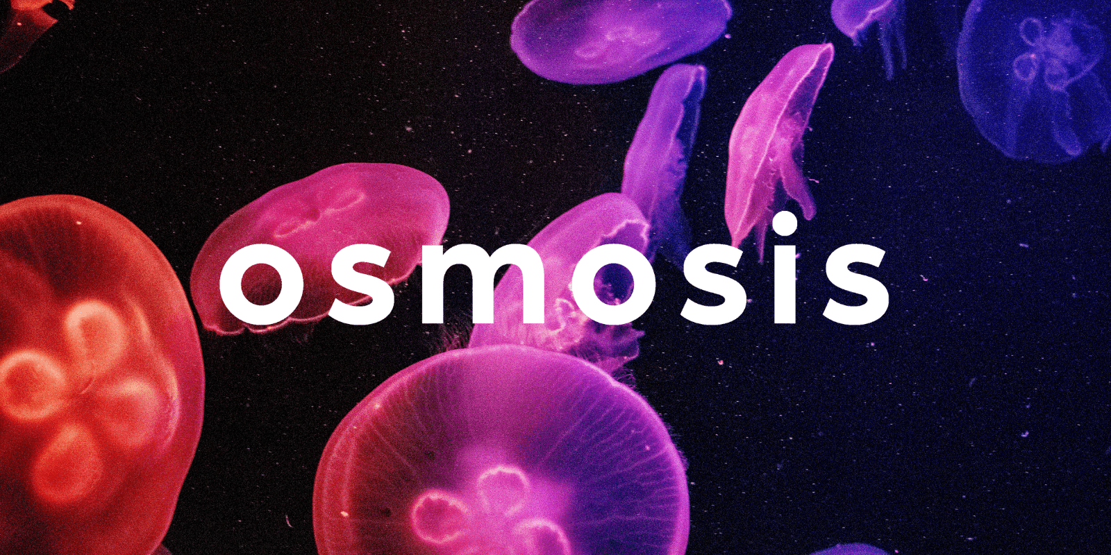 Zoomies osmosis banner | Shrooms Edibles Online Canada