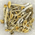 Trinity | Shrooms Edibles Online Canada