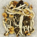 Cuban | Shrooms Edibles Online Canada