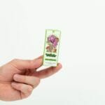 Wonder – Psilocybin Chocolate Bar – Dark Chocolate | Shrooms Edibles Online Canada