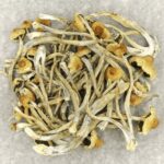 Hautla | Shrooms Edibles Online Canada