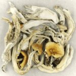 Treasure Coast | Shrooms Edibles Online Canada