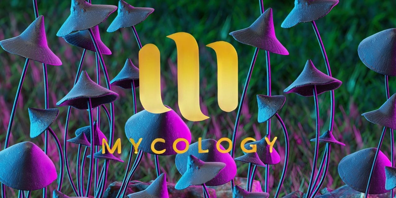 Zoomies Summer 2023 Banner - Mycology | Shrooms Edibles Online Canada