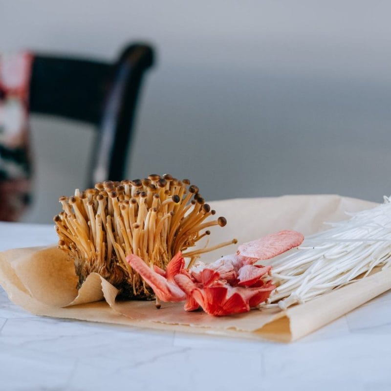 Buy Shrooms Online Canada (1) | Shrooms Edibles Online Canada