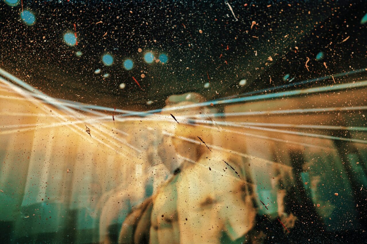Canadian Doctor Conducts Brain Scan While on Magic Mushrooms: ‘I Ventured Into Strangeness’